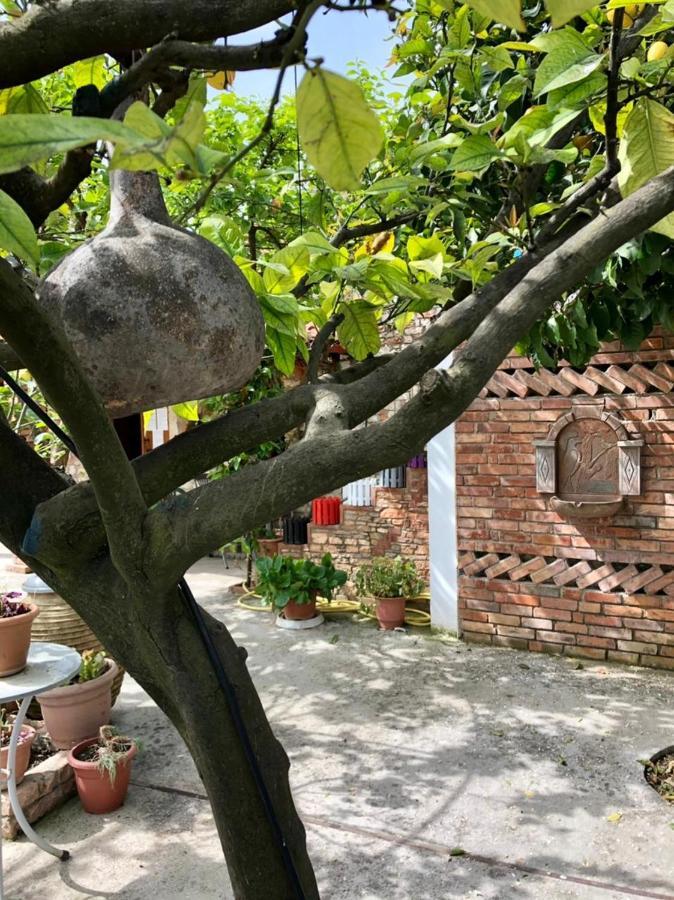 Villa Muzhaqi Nivice Eksteriør bilde